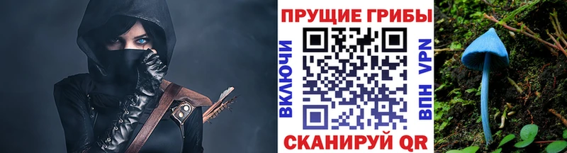 Галлюциногенные грибы MAGIC MUSHROOMS  Сысерть 